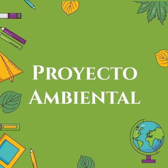 PROYECTO AMBIENTAL